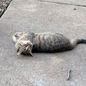 Meet your Posher, Jordan